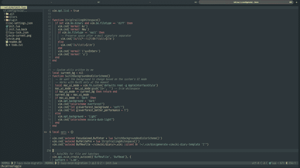 Neovim current setup